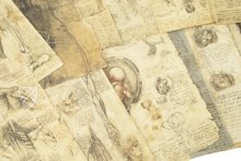 Leonardo da Vinci - Anatomische Studien – Collezione Apocrifa Da Vinci – Royal Library at Windsor Castle (Windsor, Vereinigtes Königreich)