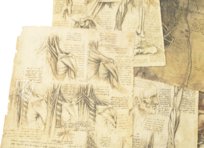 Leonardo da Vinci - Anatomische Studien – Collezione Apocrifa Da Vinci – Royal Library at Windsor Castle (Windsor, Vereinigtes Königreich)