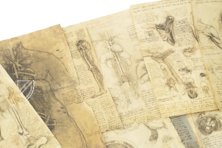 Leonardo da Vinci - Anatomische Studien – Collezione Apocrifa Da Vinci – Royal Library at Windsor Castle (Windsor, Vereinigtes Königreich)