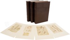 Leonardo da Vinci - Anatomische Studien – Giunti Editore – Royal Library at Windsor Castle (Windsor, Vereinigtes Königreich)