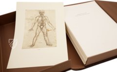 Leonardo da Vinci - Anatomische Studien – Giunti Editore – Royal Library at Windsor Castle (Windsor, Vereinigtes Königreich)