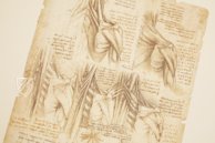 Leonardo da Vinci - Anatomische Studien – Giunti Editore – Royal Library at Windsor Castle (Windsor, Vereinigtes Königreich)