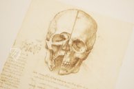 Leonardo da Vinci - Anatomische Studien – Giunti Editore – Royal Library at Windsor Castle (Windsor, Vereinigtes Königreich)