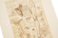 Leonardo da Vinci - Anatomische Studien – Giunti Editore – Royal Library at Windsor Castle (Windsor, Vereinigtes Königreich)