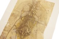Leonardo da Vinci - Anatomische Studien – Giunti Editore – Royal Library at Windsor Castle (Windsor, Vereinigtes Königreich)