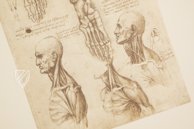 Leonardo da Vinci - Anatomische Studien – Giunti Editore – Royal Library at Windsor Castle (Windsor, Vereinigtes Königreich)