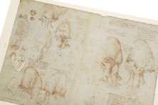 Leonardo da Vinci - Anatomische Studien – Giunti Editore – Royal Library at Windsor Castle (Windsor, Vereinigtes Königreich)