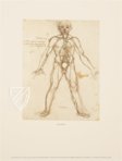 Leonardo da Vinci - Anatomische Studien – Prisma Verlag – Royal Library at Windsor Castle (Windsor, Vereinigtes Königreich)