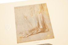 Leonardo da Vinci - Anatomische Studien – Prisma Verlag – Royal Library at Windsor Castle (Windsor, Vereinigtes Königreich)