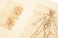 Leonardo da Vinci - Anatomische Studien – Prisma Verlag – Royal Library at Windsor Castle (Windsor, Vereinigtes Königreich)