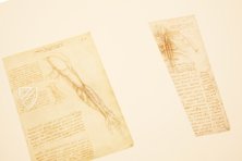 Leonardo da Vinci - Anatomische Studien – Prisma Verlag – Royal Library at Windsor Castle (Windsor, Vereinigtes Königreich)