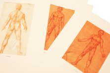 Leonardo da Vinci - Anatomische Studien – Prisma Verlag – Royal Library at Windsor Castle (Windsor, Vereinigtes Königreich)