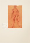 Leonardo da Vinci - Anatomische Studien – Royal Library at Windsor Castle (Windsor, Großbritannien) Faksimile