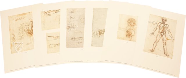 Leonardo da Vinci: Atlas der anatomischen Studien Faksimile