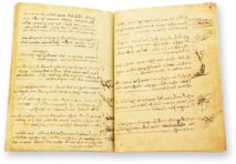 Leonardo da Vinci: Codex vom Flug der Vögel – Collezione Apocrifa Da Vinci – Biblioteca Reale di Torino (Turin, Italien)