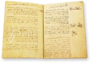 Leonardo da Vinci: Codex vom Flug der Vögel – Collezione Apocrifa Da Vinci – Biblioteca Reale di Torino (Turin, Italien)