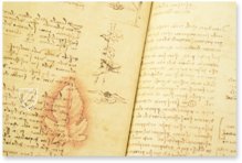 Leonardo da Vinci: Codex vom Flug der Vögel – Collezione Apocrifa Da Vinci – Biblioteca Reale di Torino (Turin, Italien)