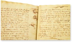 Leonardo da Vinci: Codex vom Flug der Vögel – Collezione Apocrifa Da Vinci – Biblioteca Reale di Torino (Turin, Italien)