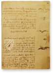 Leonardo da Vinci: Codex vom Flug der Vögel – Collezione Apocrifa Da Vinci – Biblioteca Reale di Torino (Turin, Italien)