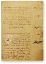 Leonardo da Vinci: Codex vom Flug der Vögel – Collezione Apocrifa Da Vinci – Biblioteca Reale di Torino (Turin, Italien)