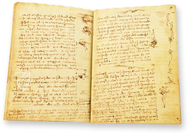 Leonardo da Vinci: Codex vom Flug der Vögel – Collezione Apocrifa Da Vinci – Ms Varia 95 – Biblioteca Reale di Torino (Turin, Italien)