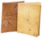 Leonardo da Vinci: Codex vom Flug der Vögel – Collezione Apocrifa Da Vinci – Ms Varia 95 – Biblioteca Reale di Torino (Turin, Italien)