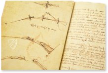 Leonardo da Vinci: Codex vom Flug der Vögel – Collezione Apocrifa Da Vinci – Ms Varia 95 – Biblioteca Reale di Torino (Turin, Italien)