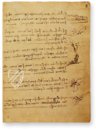 Leonardo da Vinci: Codex vom Flug der Vögel – Collezione Apocrifa Da Vinci – Ms Varia 95 – Biblioteca Reale di Torino (Turin, Italien)