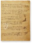 Leonardo da Vinci: Codex vom Flug der Vögel – Collezione Apocrifa Da Vinci – Ms Varia 95 – Biblioteca Reale di Torino (Turin, Italien)