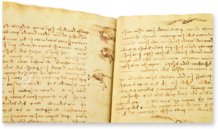 Leonardo da Vinci: Codex vom Flug der Vögel – Collezione Apocrifa Da Vinci – Ms Varia 95 – Biblioteca Reale di Torino (Turin, Italien)