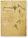 Leonardo da Vinci: Codex vom Flug der Vögel – Collezione Apocrifa Da Vinci – Ms Varia 95 – Biblioteca Reale di Torino (Turin, Italien)