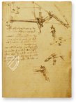 Leonardo da Vinci: Codex vom Flug der Vögel – Collezione Apocrifa Da Vinci – Ms Varia 95 – Biblioteca Reale di Torino (Turin, Italien)