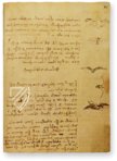 Leonardo da Vinci: Codex vom Flug der Vögel – Collezione Apocrifa Da Vinci – Ms Varia 95 – Biblioteca Reale di Torino (Turin, Italien)