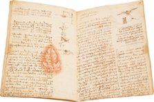 Leonardo da Vinci: Codex vom Flug der Vögel – Giunti Editore – Biblioteca Reale di Torino (Turin, Italien) Faksimile