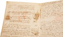 Leonardo da Vinci: Codex vom Flug der Vögel – Giunti Editore – Biblioteca Reale di Torino (Turin, Italien)