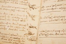 Leonardo da Vinci: Codex vom Flug der Vögel – Giunti Editore – Biblioteca Reale di Torino (Turin, Italien)