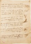 Leonardo da Vinci: Codex vom Flug der Vögel – Giunti Editore – Ms Varia 95 – Biblioteca Reale di Torino (Turin, Italien)