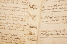 Leonardo da Vinci: Codex vom Flug der Vögel – Giunti Editore – Ms Varia 95 – Biblioteca Reale di Torino (Turin, Italien)