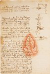 Leonardo da Vinci: Codex vom Flug der Vögel – Giunti Editore – Ms Varia 95 – Biblioteca Reale di Torino (Turin, Italien)