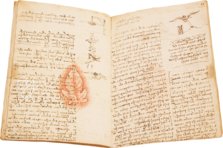 Leonardo da Vinci: Codex vom Flug der Vögel – Johnson Reprint – Ms Varia 95 – Biblioteca Reale di Torino (Turin, Italien) Leonardo da Vinci: Codex vom Flug der Vögel – Johnson Reprint – Ms Varia 95 – Biblioteca Reale di Torino (Turin, Italien)