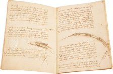 Leonardo da Vinci: Codex vom Flug der Vögel – Johnson Reprint – Ms Varia 95 – Biblioteca Reale di Torino (Turin, Italien) Leonardo da Vinci: Codex vom Flug der Vögel – Johnson Reprint – Ms Varia 95 – Biblioteca Reale di Torino (Turin, Italien)