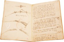 Leonardo da Vinci: Codex vom Flug der Vögel – Johnson Reprint – Ms Varia 95 – Biblioteca Reale di Torino (Turin, Italien) Leonardo da Vinci: Codex vom Flug der Vögel – Johnson Reprint – Ms Varia 95 – Biblioteca Reale di Torino (Turin, Italien)