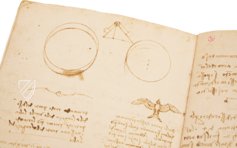 Leonardo da Vinci: Codex vom Flug der Vögel – Johnson Reprint – Ms Varia 95 – Biblioteca Reale di Torino (Turin, Italien) Leonardo da Vinci: Codex vom Flug der Vögel – Johnson Reprint – Ms Varia 95 – Biblioteca Reale di Torino (Turin, Italien)