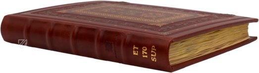 Leonardo da Vinci - De Divina Proportione - Ambrosiana Codex – Ediciones Grial – Ms. 170 sup. – Veneranda Biblioteca Ambrosiana (Mailand, Italien) Leonardo da Vinci - De Divina Proportione - Ambrosiana Codex – Ediciones Grial – Ms. 170 sup. – Veneranda Biblioteca Ambrosiana (Mailand, Italien)