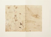 Leonardo da Vinci: Landschafts-, Pflanzen- und Gewässerstudien – Belser Verlag – Royal Library at Windsor Castle (Windsor, Vereinigtes Königreich)