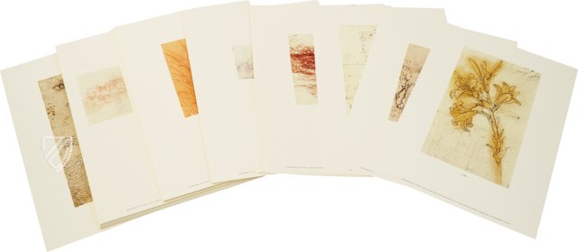 Leonardo da Vinci: Landschafts-, Pflanzen- und Gewässerstudien – Giunti Editore – Royal Library at Windsor Castle (Windsor, Vereinigtes Königreich)