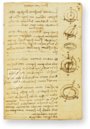 Leonardo da Vinci - Manuskripte des Instituts de France – Giunti Editore – Mss "A" to "M" – Institut de France (Paris, Frankreich) Leonardo da Vinci - Manuskripte des Instituts de France – Giunti Editore – Mss "A" to "M" – Institut de France (Paris, Frankreich)