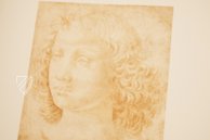 Leonardo da Vinci - Zeichnungen der Amerikanischen Sammlungen – Giunti Editore – New York Public Library (New York, USA) Leonardo da Vinci - Zeichnungen der Amerikanischen Sammlungen – Giunti Editore – New York Public Library (New York, USA)