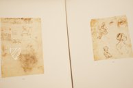 Leonardo da Vinci - Zeichnungen der Amerikanischen Sammlungen – Giunti Editore – New York Public Library (New York, USA) Leonardo da Vinci - Zeichnungen der Amerikanischen Sammlungen – Giunti Editore – New York Public Library (New York, USA)