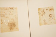 Leonardo da Vinci - Zeichnungen der Amerikanischen Sammlungen – Giunti Editore – New York Public Library (New York, USA) Leonardo da Vinci - Zeichnungen der Amerikanischen Sammlungen – Giunti Editore – New York Public Library (New York, USA)
